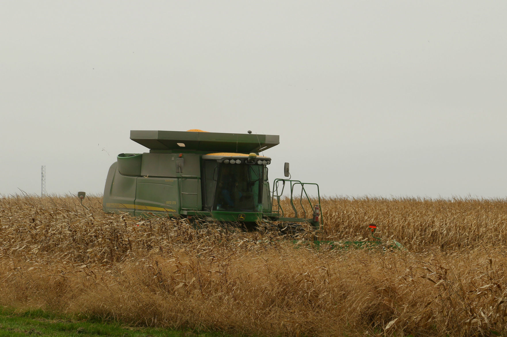Harvest 2016